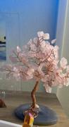 Karma and Luck Love Harmony - Feng Shui Rose Quartz Tree Review