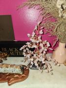 Karma and Luck Love Harmony - Feng Shui Rose Quartz Tree Review