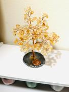 Karma and Luck Happiness Evoker Citrine Feng Shui Tree Review