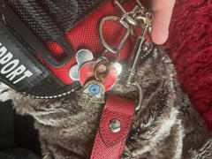 Karma and Luck Protected Freedom - Bronze Enamel Evil Eye Hamsa Large Dog Tag Review