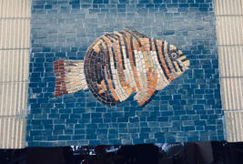 Pez colmillo arlequín de Mozaico - Revisión de arte del pez mosaico