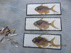Mozaico Fish Border Mosaic Review