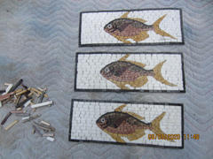 Mozaico Fish Border Mosaic Bewertung