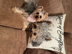 All About Vibe Queen Of Everything Yorkie Throw Pillow By Jodi Pedri Review