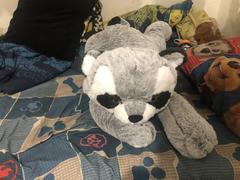 IKASATOYS 78cm / 30 Giant Stuffed Raccoon Plush Toy Review