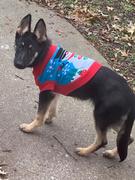 Pawlicious & Company Snowman Holiday Dog Sweater Review
