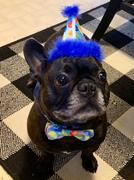 Pawlicious & Company Blue Party Time Hat Review