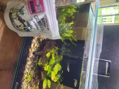 Your Fish Stuff Nano Grain Free Crumbles Review