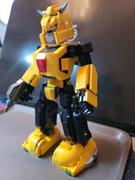 Your World of Building Blocks YOURBRICKS 20005 Bumblebee Review