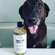 Draw it Out Horse Health Care Solutions Draw It Out® Soothing Relief Dog Shampoo with Lavender 16oz Review