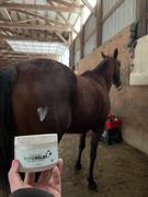 Draw it Out Horse Health Care Solutions Draw It Out® Rapid Relief Restorative Cream for Horses 8oz Review
