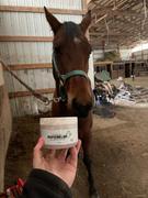 Draw it Out Horse Health Care Solutions Draw It Out® Rapid Relief Restorative Cream for Horses 8oz Review
