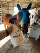 Draw it Out Horse Health Care Solutions Citraquin® Environmental Defense Spray by Draw It Out 32oz Review