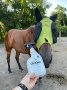 Draw it Out Horse Health Care Solutions Citraquin® Environmental Defense Spray by Draw It Out 32oz Review
