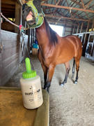 Draw it Out Horse Health Care Solutions Silver Hoof EQ Therapy® by Draw It Out 16oz Review