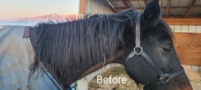 Draw it Out Horse Health Care Solutions ShowBarn Secret® Detangler and Shine Review