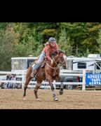 Draw it Out Horse Health Care Solutions Draw It Out® 8oz Gel Review