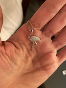NOGU Aruba | .925 Sterling Silver | Crystal Flamingo Infinity Clasp Necklace Review