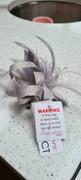 Fascinators Direct Small Silver Grey Fascinator Clip with Feathers & Sinamay Loops Review