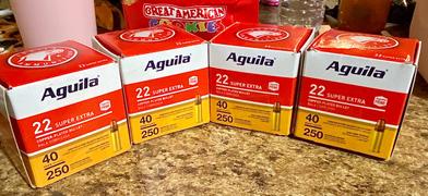 Foundry Outdoors Aguila Ammo .22Lr High Vel. 1255Fps. 40Gr. Lead Rn 250-Pk 1B221100 Review