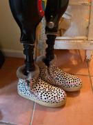 laidback london Setsu Crochet Side Zip Ankle Boot Black Cheetah Review