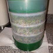 My Patriot Supply Organic 4-Part Salad Sprouting Seeds Mix by Patriot Seeds (4 ounces) Review