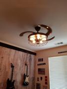 Moooni LIGHTING Industrial Ceiling Fan Cage Light Review