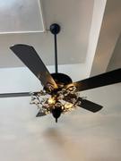Moooni LIGHTING Quietest Ceiling Fan with Light Review