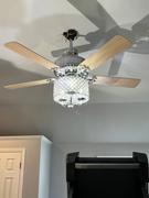 Moooni LIGHTING Ceiling Fan with Led Light Review