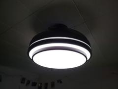Moooni LIGHTING Modern Black Ceiling Fan With Light Review