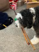 Pawstruck.com 36 Straight Bully Sticks by Pawstruck Review