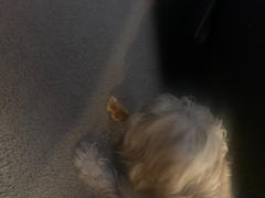 Pawstruck.com Pig Skin Dog Treats Review