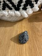 The Psychic Tree Snowflake Obsidian Polished Tumblestone Healing Crystals Review