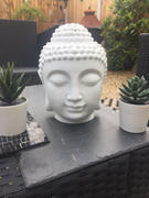 The Psychic Tree Giant White Buddha Head Oil Burner Review