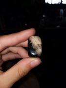The Psychic Tree Petrified Wood Polished Tumblestone Healing Crystals Review