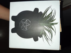 The Psychic Tree Pentagram Cauldron Plant Pot Review