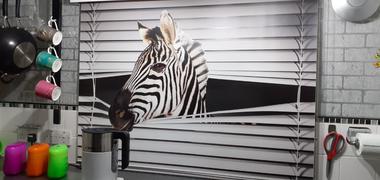 Art Fever Zebra Peeking through the blind© Printed Picture Photo Roller Blind - RB226 Review