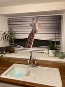 Art Fever Giraffe Peeking through the blind© Printed Picture Photo Roller Blind - RB713 Review