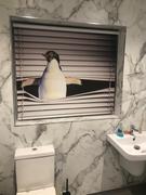 Art Fever Peeking Penguin Image Printed Roller Blind - RB861 Review