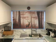 Art Fever Printed Picture Photo Roller Blind Red Deer Stag in Foggy Autumn Woods - RB990 Review