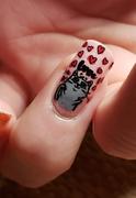 Maniology Grey Joy (B181) - Creamy Gray Stamping Polish Review