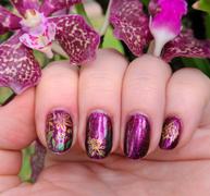 Maniology Fall Occasions: Friendly Forest (m022) - Nail Stamping Plate Review