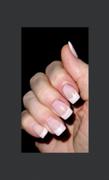 Maniology Classique: Pardon My French (m052) French Tip Manicure Nail Plate Review