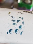 Maniology Soiree All Day: Bubbly (B322) - Metallic Blue Stamping Polish Review