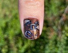 Maniology Mystic Woods: Do You See Me?/Mucho Mushrooms (m129) - Nail Stamping Plate Review