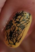 Maniology Spring Occasions: Wild About You (m183) - Nail Stamping Plate Review