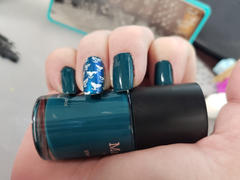 Maniology SFAC: Hawaii ﻿Wildlife Fund Nail Stamping Bundle Review