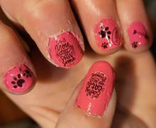 Maniology Meow or Never (CA-646) - Nail Art Sticker Sheet Review