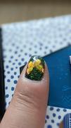 Maniology Winged Creatures (M369) - Nail Stamping Plate Review