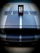 InLightz Shelby GT 500 Snake Night Light Review